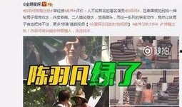 鲁山爆料者最新回应视频,揭秘事件真相与后续发展