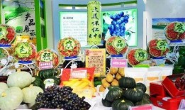 怀仁美食爆料视频最新,最新爆料视频带你领略地道风味