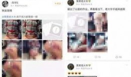 新瓜男女最新爆料网站,揭秘娱乐圈最新热点事件