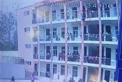 南阳学校爆料事件最新情况,最新进展与调查结果揭晓