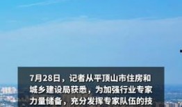 平顶山今日头条最新爆料,揭秘重大事件背后真相