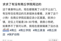 商丘学院爆料事件最新,揭秘校园内幕引发社会关注
