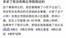 商丘学院爆料事件最新,揭秘校园内幕引发社会关注
