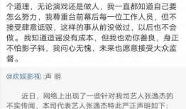 爆料张姓艺人名单最新,张姓艺人名单曝光，揭秘明星背后的秘密