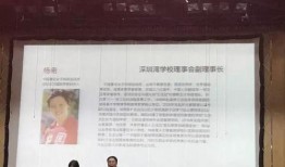 小芳深圳最新爆料,揭秘这座城市的最新动态与热点事件