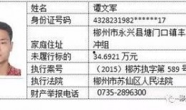 最新爆料苏仙,揭秘神秘事件背后的惊人真相